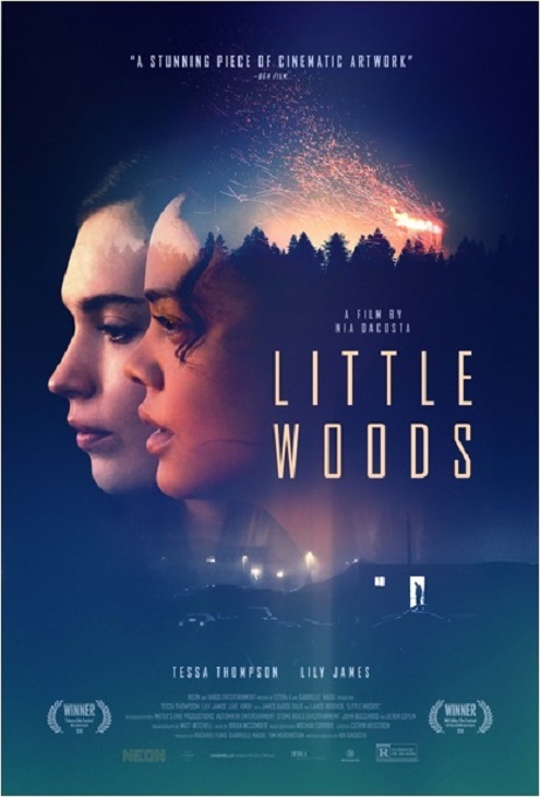Little Woods (2018) PL.WEB-DL.XviD-GR4PE / LEKTOR PL