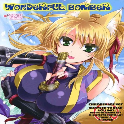 Wonderful Bomber Hentai Comics