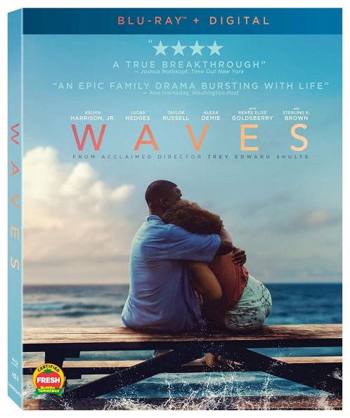 Waves (2019) 1080p BluRay AC3 5 1 x265 HEVC-Nb8