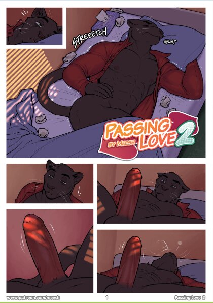 Meesh - Passing Love 2 Porn Comic